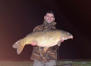 Common Carp