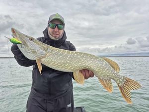 Northern Pike