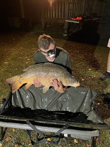 Mirror Carp