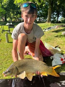 Common Carp
