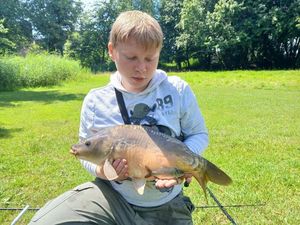 Common Carp
