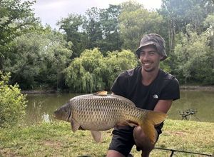 Common Carp