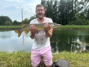 Northern Pike