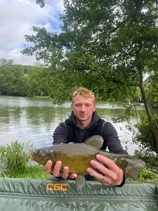Tench
