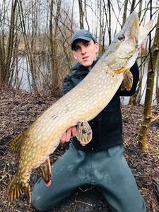 Northern Pike