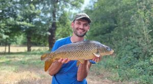 Common Carp