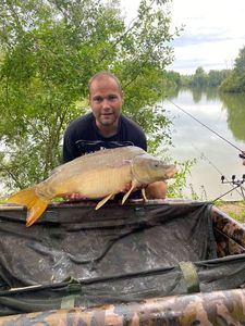 Mirror Carp