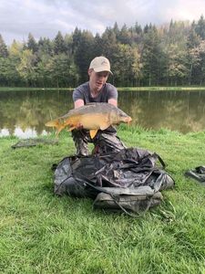 Mirror Carp