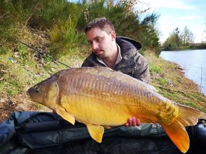 Mirror Carp