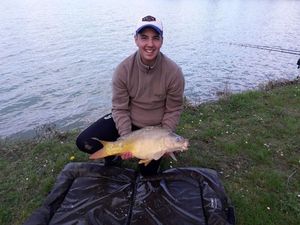 Mirror Carp