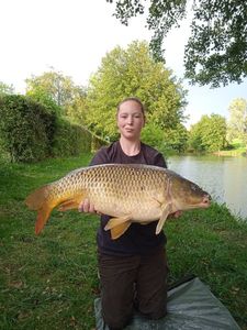 Common Carp