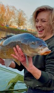 Common Carp