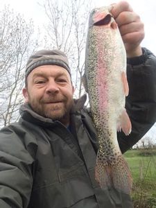 Rainbow Trout