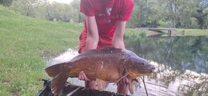 Leather Carp