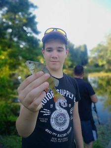 European Perch caught by Enzo Lopes