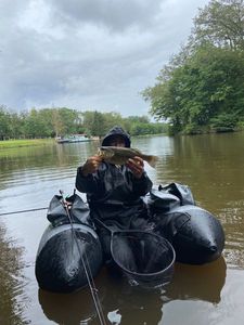 Largemouth Bass