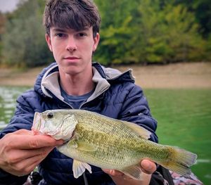 Largemouth Bass