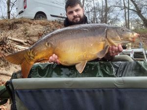 Mirror Carp