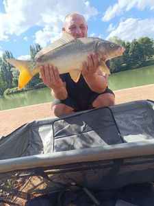 Mirror Carp