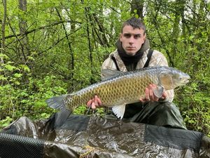 Grass Carp