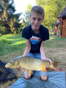 Common Carp