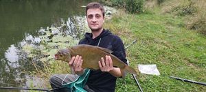 Common Bream
