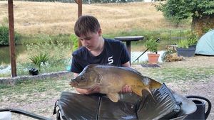 Mirror Carp