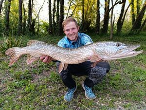 Northern Pike