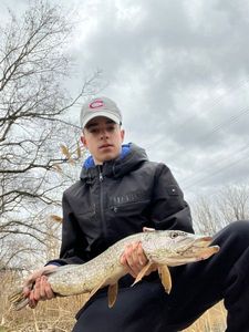 Northern Pike