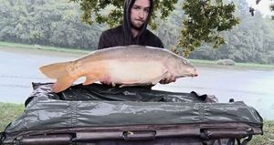 Mirror Carp