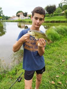 Smallmouth Bass