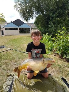 Mirror Carp