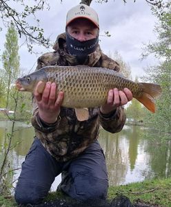 Common Carp