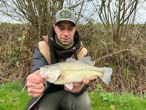 Smallmouth Bass