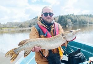 Northern Pike