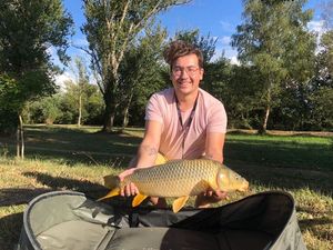 Common Carp