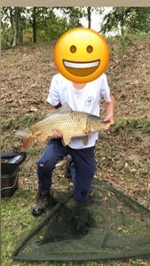 Common Carp