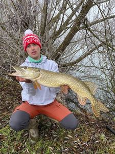 Northern Pike