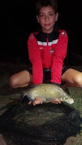 Common Bream