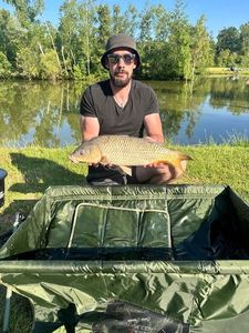 Common Carp