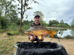 Mirror Carp