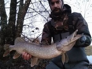 Northern Pike