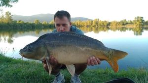 Mirror Carp