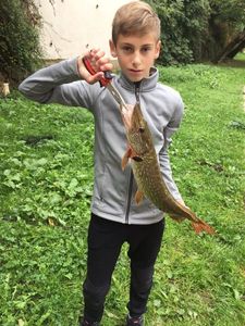 Northern Pike