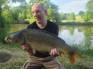 Common Carp
