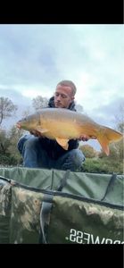 Mirror Carp