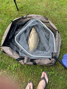 Leather Carp