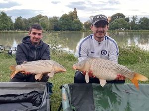 Common Carp