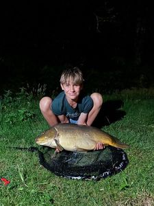 Mirror Carp