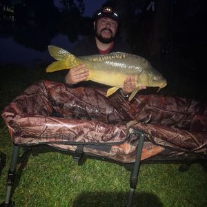 Mirror Carp